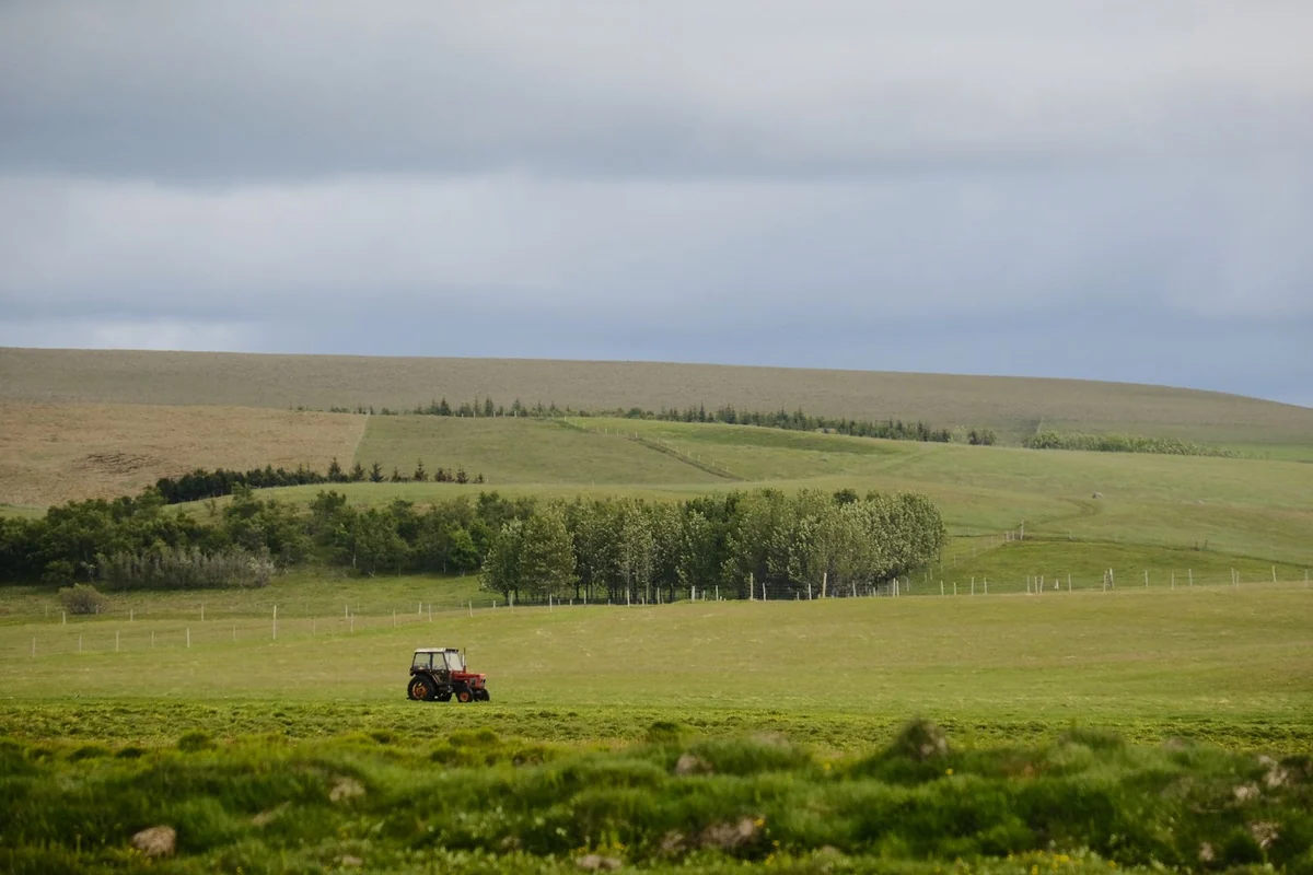 Tractor in a paddock with a line of trees behind it