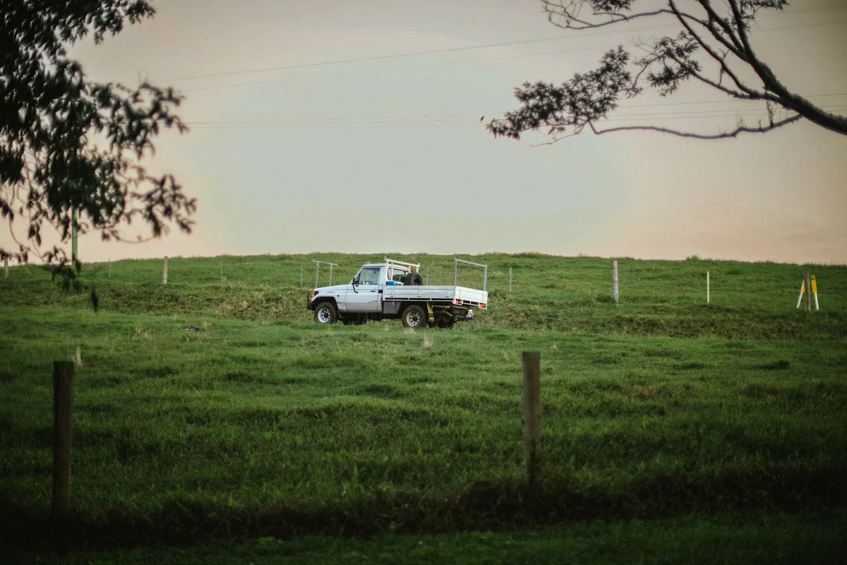 Work ute parked in a green paddock in the late afternoon